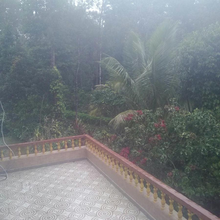 Hill Side Estate Lejlighed Madikeri Eksteriør billede