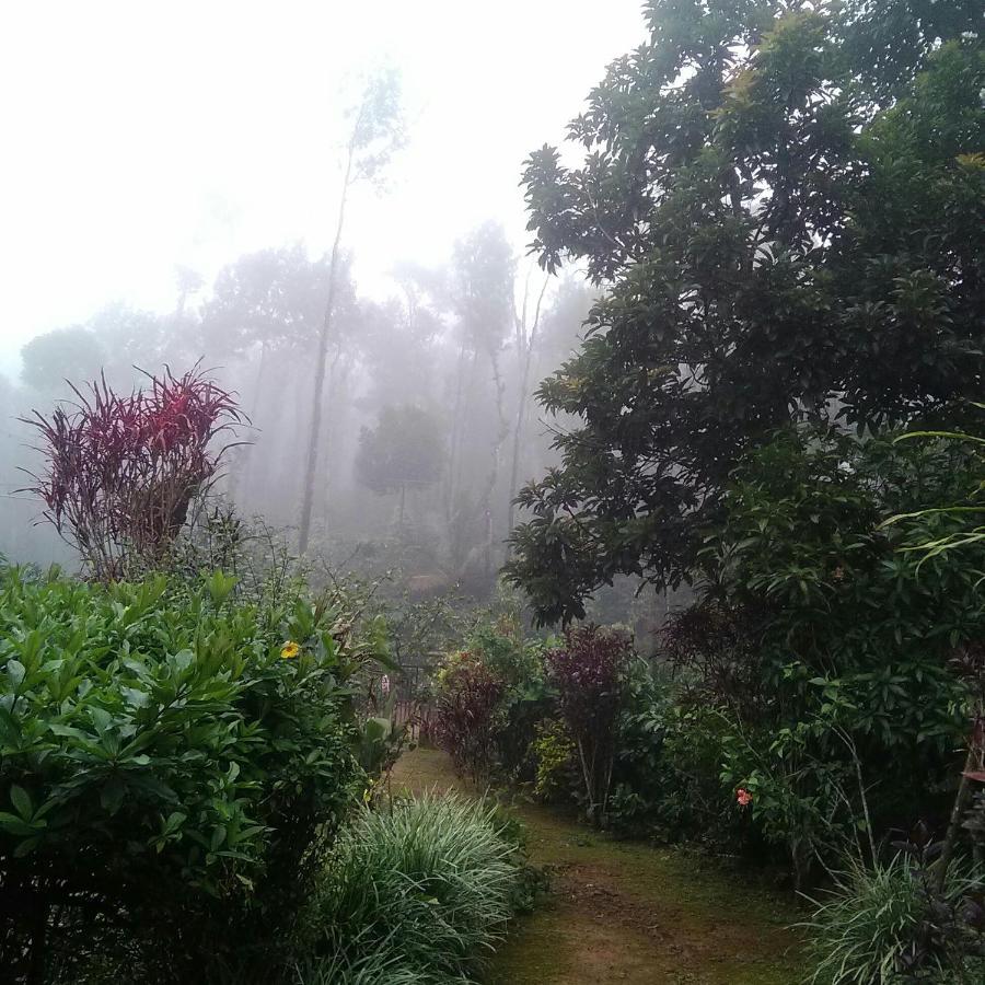 Hill Side Estate Lejlighed Madikeri Eksteriør billede